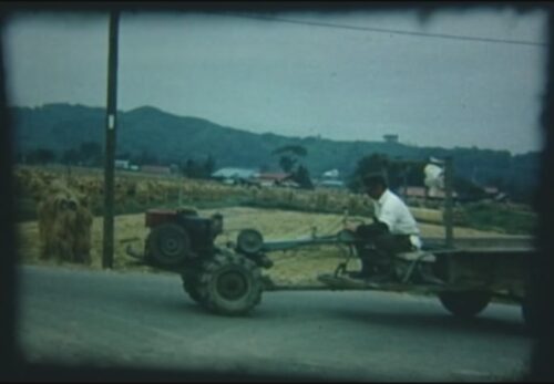 昭和47年　宮城県栗原市鶯沢　稲刈りの様子　No.168